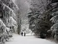 Ile śniegu w górach? Sprawdź aktualne warunki narciarskie!