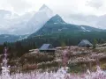 Zakopane czy Bukowina Tatrzańska – gdzie warto spędzić urlop?