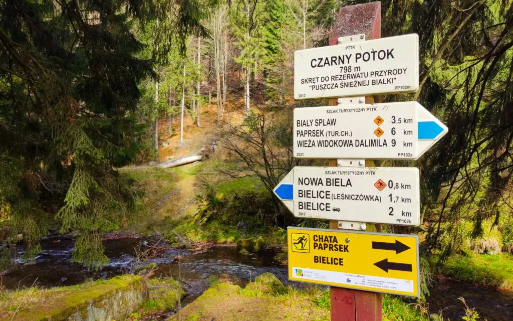 Kolory szlaków turystycznych - co oznaczają i jak je odczytać