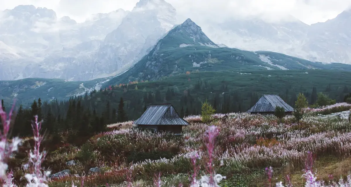 Zakopane czy Bukowina Tatrzańska – gdzie warto spędzić urlop?