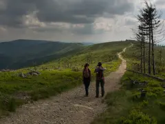 Skrzyczne szlak zielony czy niebieski - który wybór jest lepszy?