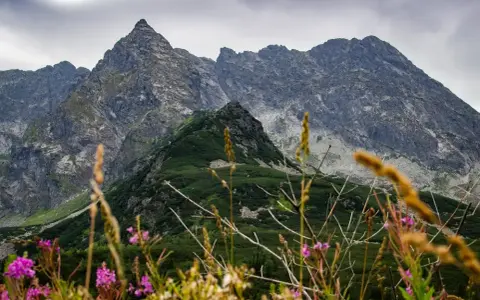 Gdzie w góry latem? Odkryj najlepsze miejsca na wakacje w Polsce