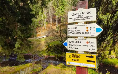 Kolory szlaków turystycznych - co oznaczają i jak je odczytać