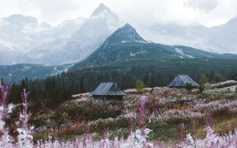 Zakopane czy Bukowina Tatrzańska – gdzie warto spędzić urlop?
