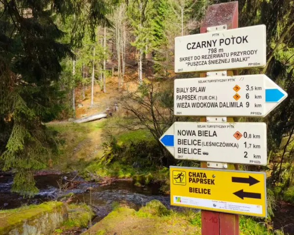 Kolory szlaków turystycznych - co oznaczają i jak je odczytać