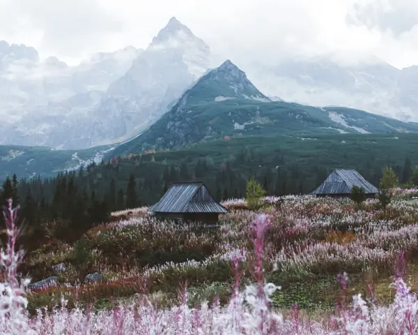 Zakopane czy Bukowina Tatrzańska – gdzie warto spędzić urlop?