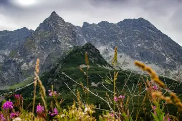 Gdzie w góry latem? Odkryj najlepsze miejsca na wakacje w Polsce