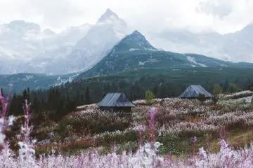 Zakopane czy Bukowina Tatrzańska – gdzie warto spędzić urlop?
